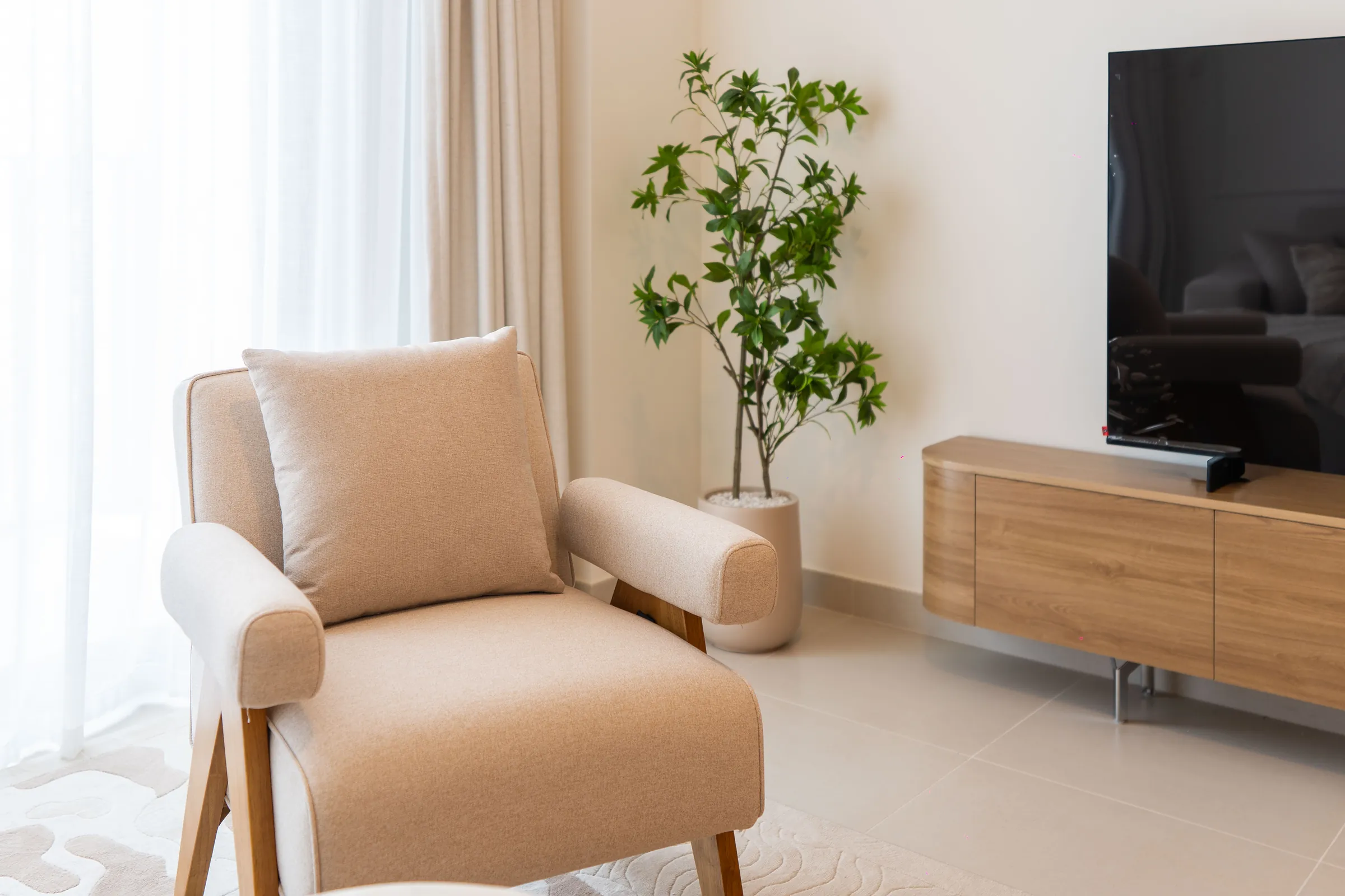 Lounge corner with armchair, TV console and indoor plant